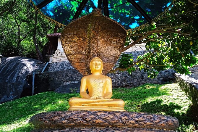 Safari Day Tour to Sigiriya Lion Rock and Golden Cave Temple - Optional add-ons: village lunch and a Hurulu eco safari