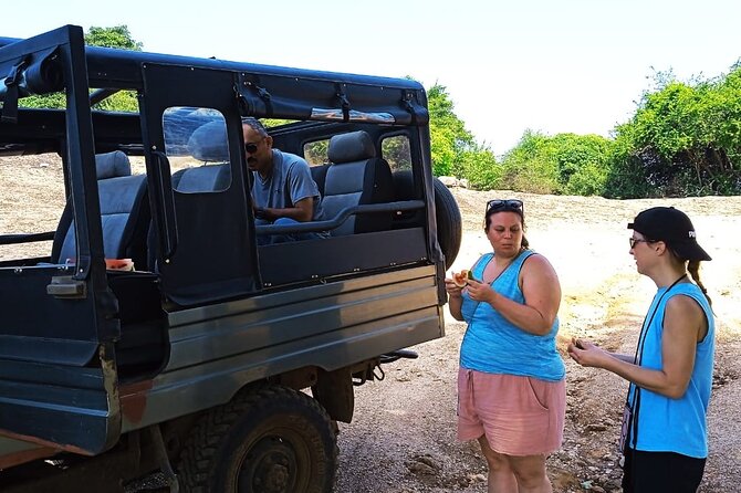 Safari Day Tour to Sigiriya Lion Rock and Golden Cave Temple - Hotel pickup, private AC car, and a smoother day