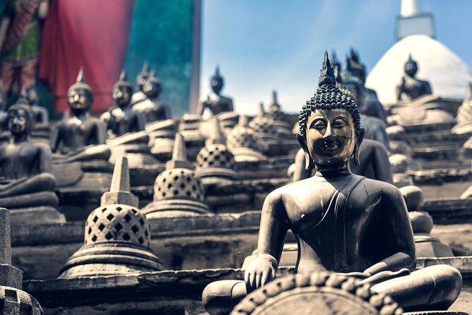 Shore Excursion Colombo City tour - Key Things to Know Before You Go