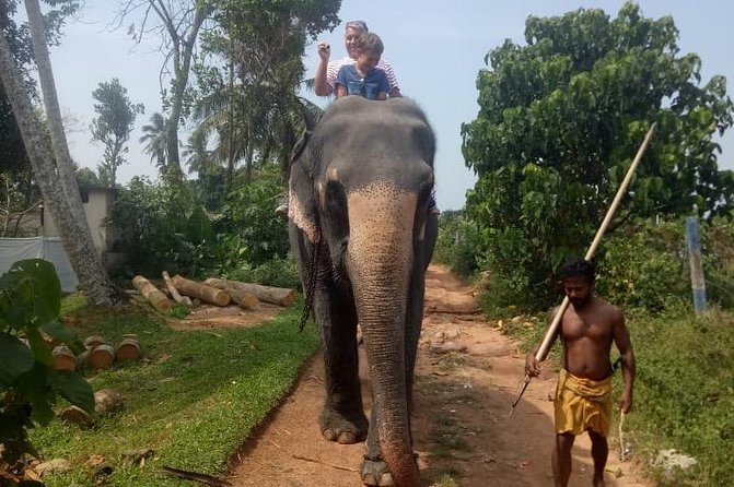 Shore Excursion From Colombo port to Ingiriya Tea Plantation & back for 2 People - Colombo Highlights on the Way Back: Use the Drive Time Well
