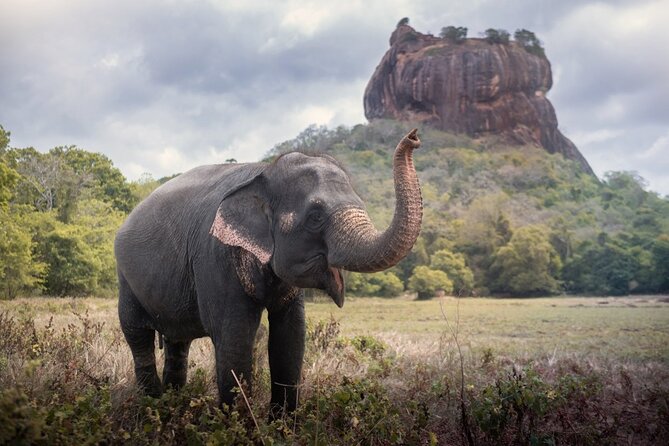 Sigiriya and Dambulla Cave Temple Private Day Trip From Bentota - Dambulla Cave Temple: Five Caves, 150+ Buddha Statues