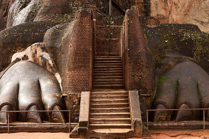 Sigiriya Fortress & Dambulla Day Tour From Colombo, Bentota Area - Minneriya National Park safari from Habarana: planning for elephants