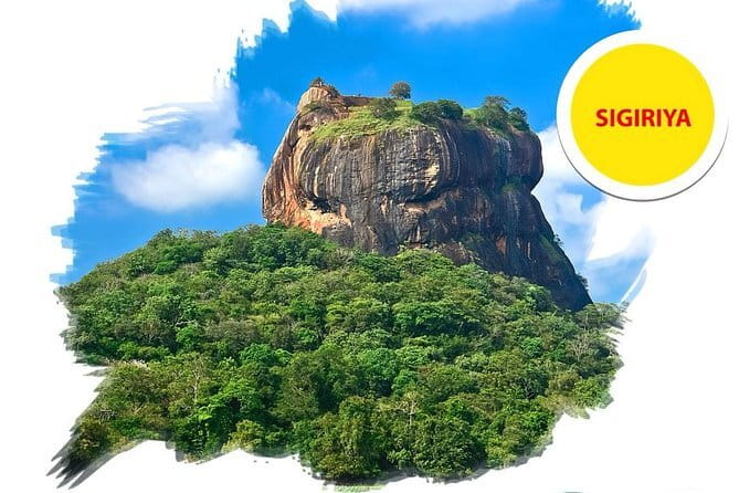 Sigiriya Rock and Dambulla Cave Temple all inclusive Private Day Trip - Who should book this trip—and who should pass