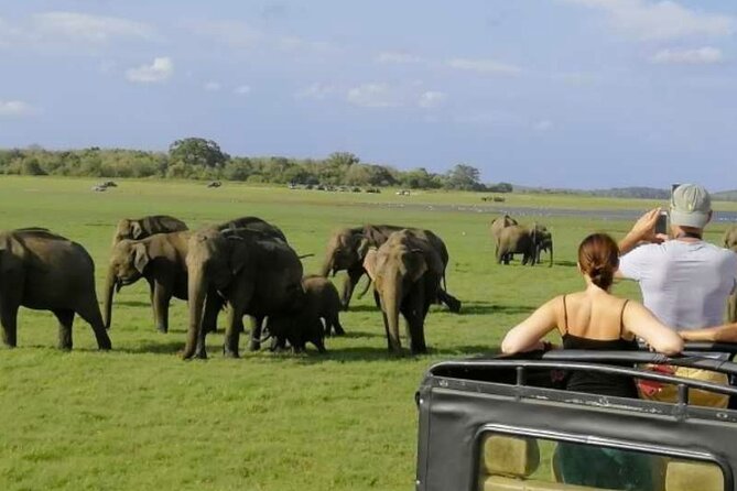 Sigiriya Rock & Cave Temple with Jeep Safari Private Day Trip - 4x4 jeep safari to Minneriya or Kaudulla: elephant odds and what to pack mentally