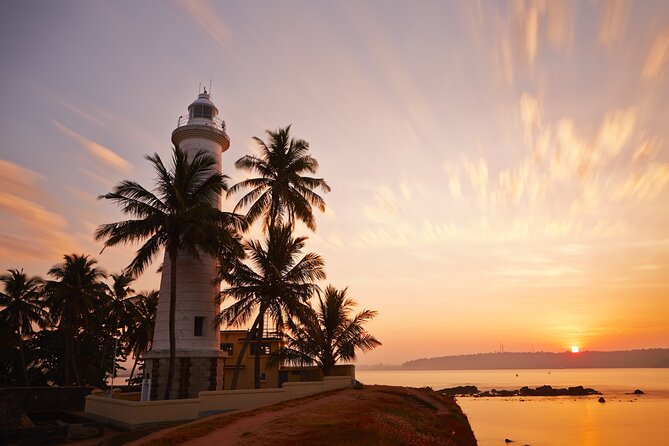 Southern Coast Highlights from Colombo - Lunch + Transport + a Guide: Where the $110 Value Comes From