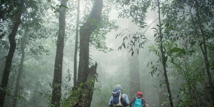 Sri Lanka: 2-Day wildlife tour; rainforest and National park - Key Highlights Worth Your Energy