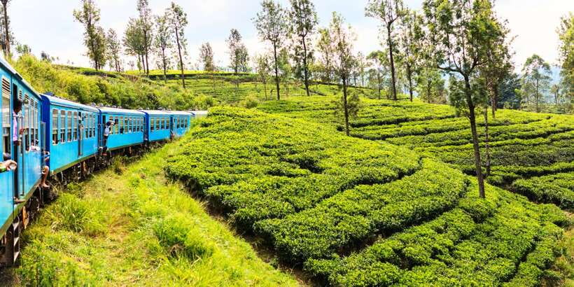 Sri Lanka: 2-Day wildlife tour; rainforest and National park - The Transfer to Udawalawe: A Big Jump in Terrain and Temperature
