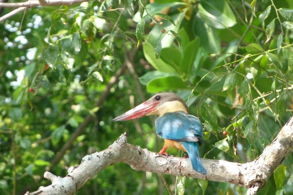 Sri Lanka: 2-Day wildlife tour; rainforest and National park - Day 2 Morning: From Udawalawe to Ella by Road and Rail