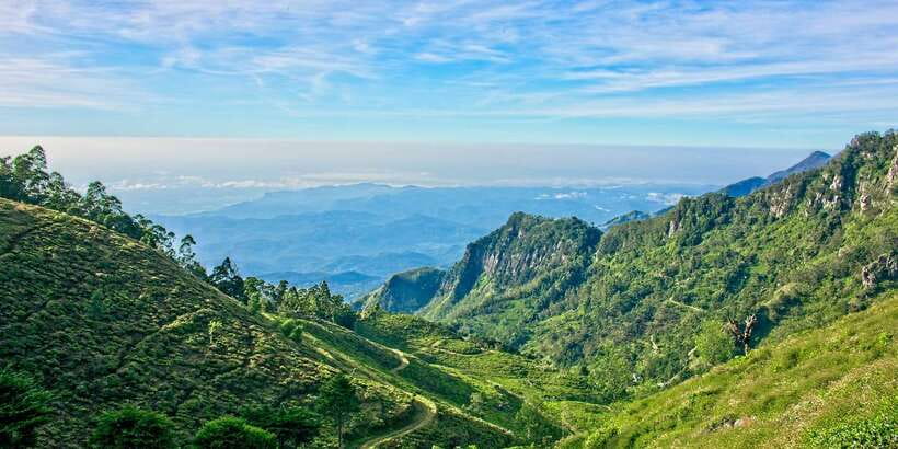 Sri Lanka: 2-Day wildlife tour; rainforest and National park - Ella to Nuwara Eliya on the Blue Train: What Makes It Worth the Time