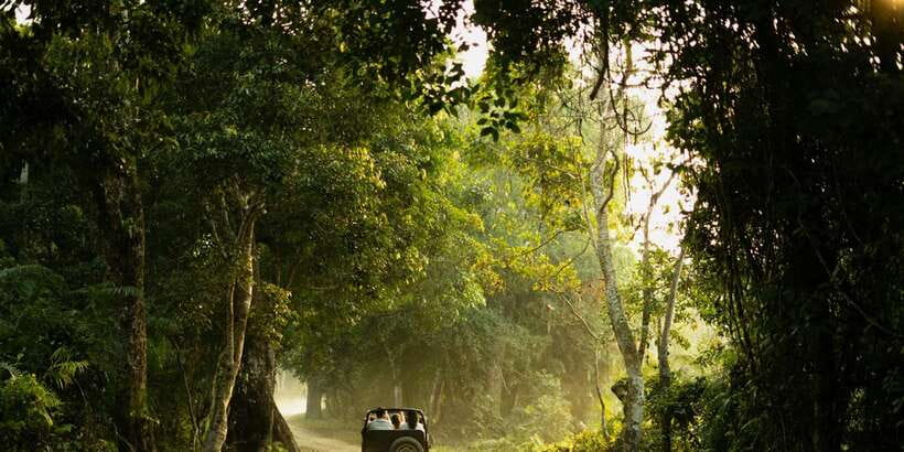 Sri Lanka: 2-Day wildlife tour; rainforest and National park - Nuwara Eliya: Gregory Lake Stop and the Tea Factory Tour