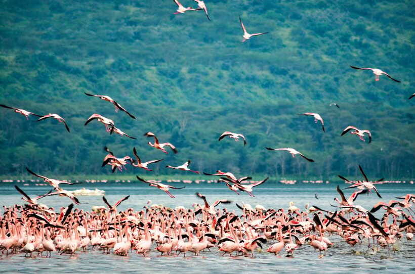 Sri Lanka 5-Day Private Country Side Tour Car, Hotels, Food - The guide’s role: what makes this run smoother