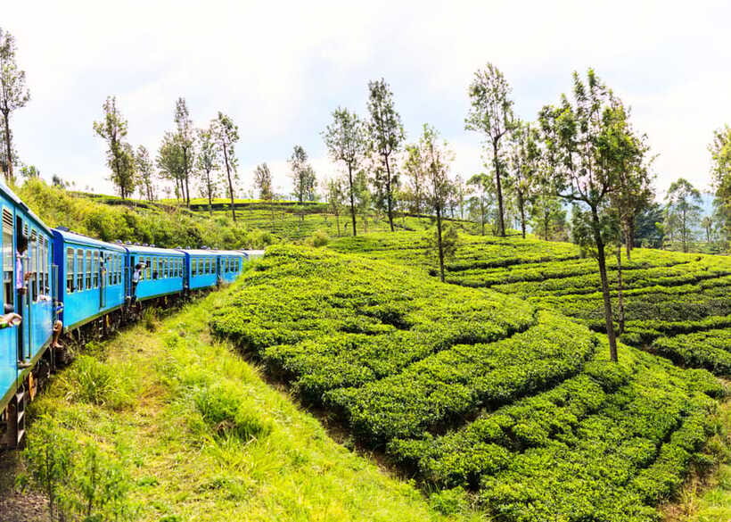 Sri Lanka 5-Day Private Country Side Tour Car, Hotels, Food - A tight route that still feels like real Sri Lanka