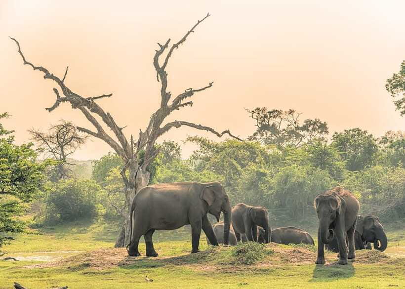 Sri Lanka 5-Day Private Country Side Tour Car, Hotels, Food - What to bring: shoes matter more than you think