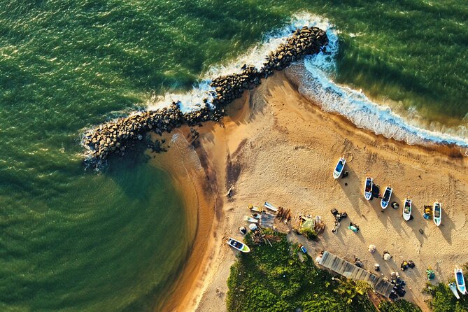 Sri Lanka 5 Day tour Best Nature and Culture include top hotels - Day 2: Pidurangala Sunrise, Minneriya Elephants, and the Drive to Kandy