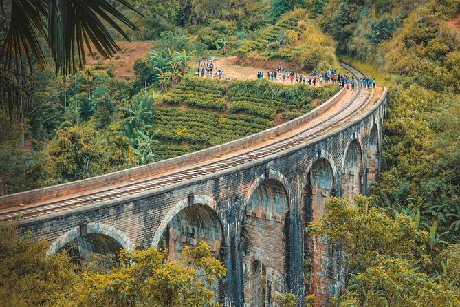 Sri Lanka 5 Day tour Best Nature and Culture include top hotels - Day 3: Temple of the Sacred Tooth, Kandy City Highlights, and Nuwara Eliya Tea Country