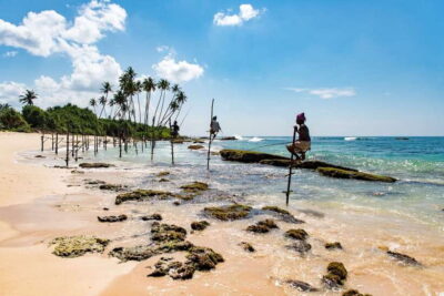 Sri Lanka Green Bless- 2-day Private Trip To Enjoy Nature - Sinharaja rainforest trek: what you’ll actually look for