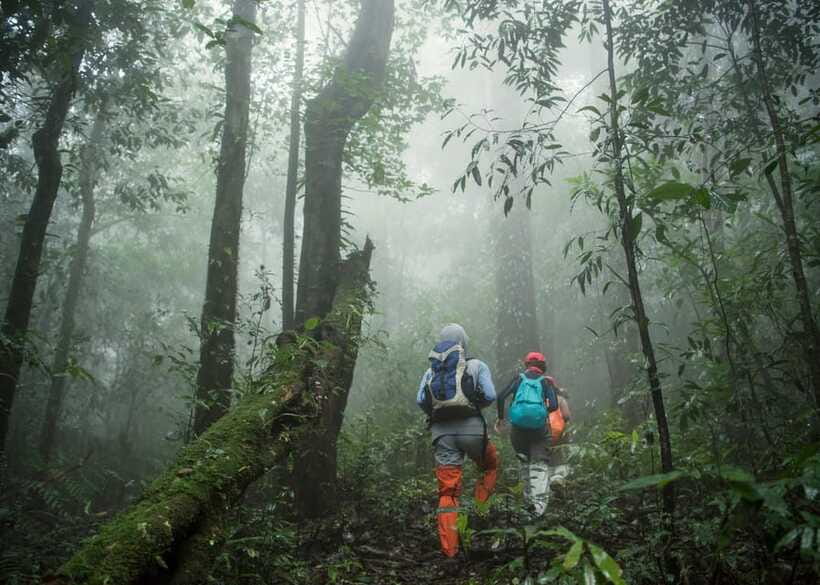 Sri Lanka Green Bless- 2-day Private Trip To Enjoy Nature - Price and logistics: what $298 covers and what to budget for
