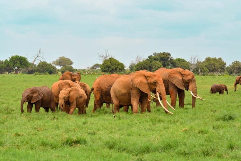 Sri Lanka Nature, culture, history and wildlife in 4 days - Key highlights worth knowing
