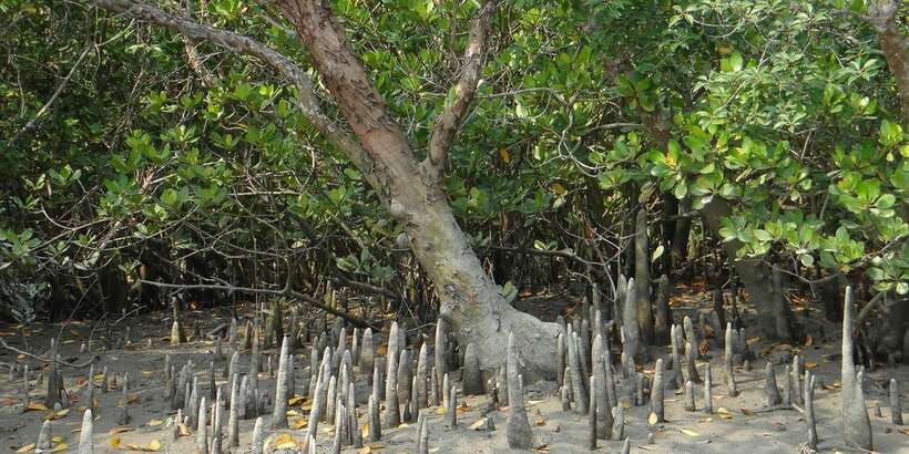 Sri Lanka Private Galle Tour: stilt fisherman, Galle Fort... - Who this tour fits best (and who might want something else)