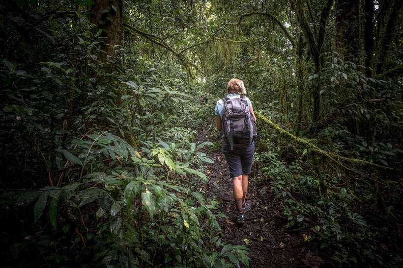 Sri Lanka: Sinharaja rainforest tour from Colombo, Bentota - Key highlights that matter on the ground
