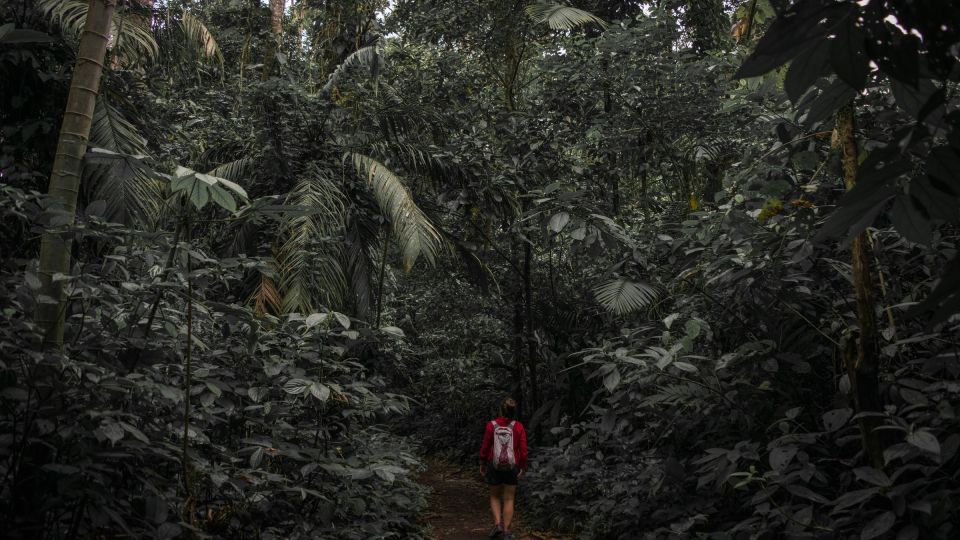 Sri Lanka: Sinharaja rainforest tour from Colombo, Bentota - What to pack for a rainforest day from the Western Province