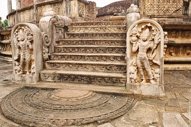 Tour Packages in Sri Lanka - Most Popular Round Tour - All in One Tour - Minneriya safari: elephants, timing, and what you should actually hope to see