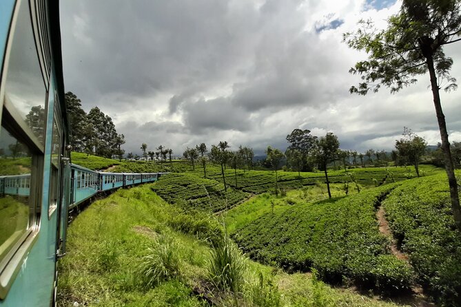Train from Colombo to Kandy - Why This Colombo to Kandy Train Transfer Is Such a Good Deal