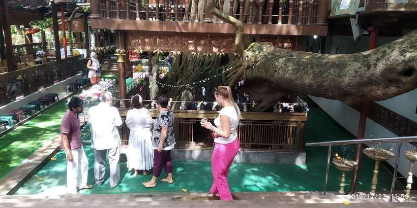 Tuk Trip is Very Cheap in Colombo (All-inclusive ) city tour - Key Highlights You’ll Actually Notice