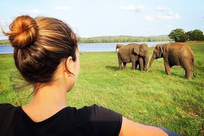 Udawalawe National Park Safari With Transfers From Colombo - Udawalawe from Colombo: why this safari format works