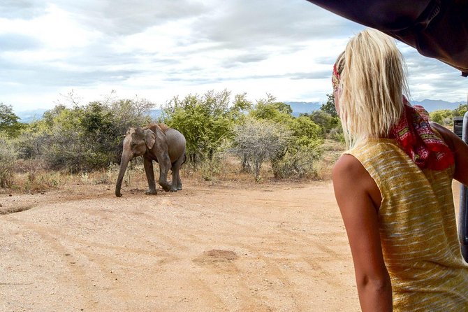 Udawalawe Safari Day Trip from South Region & Transfer to Ella - Private transport and jeep time: smooth logistics, real safari pacing