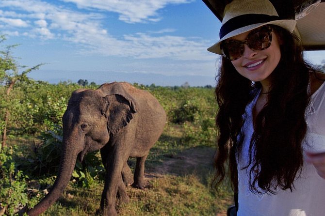 Udawalawe Safari Day Trip from South Region & Transfer to Ella - Transfers that don’t waste your time: south coast to Ella