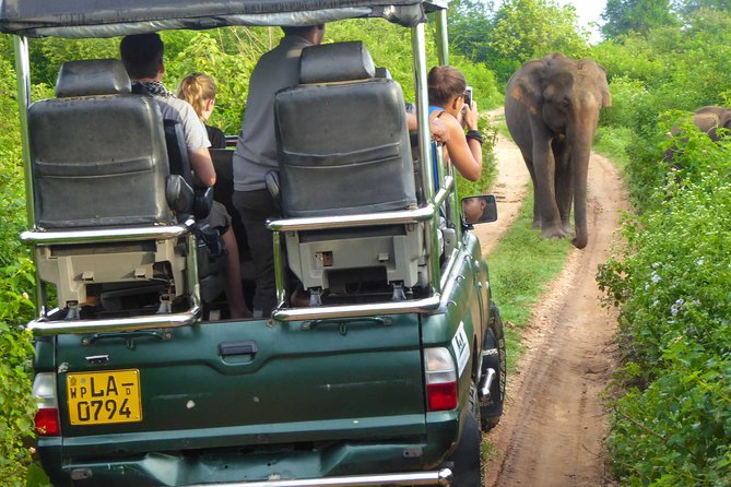 Udawalawe Safari Day Trip from South Region & Transfer to Ella - Price and value: is $180 per person worth it?