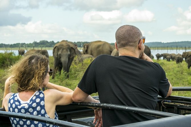 Udawalawe Safari Day Trip from South Region & Transfer to Ella - Elephant Transit Home (ETH): the short stop that gives the day meaning