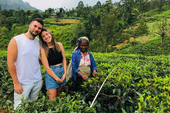 Ultimate 8-Day Sri Lanka Adventure: Private Guided Tour - Key highlights worth planning around
