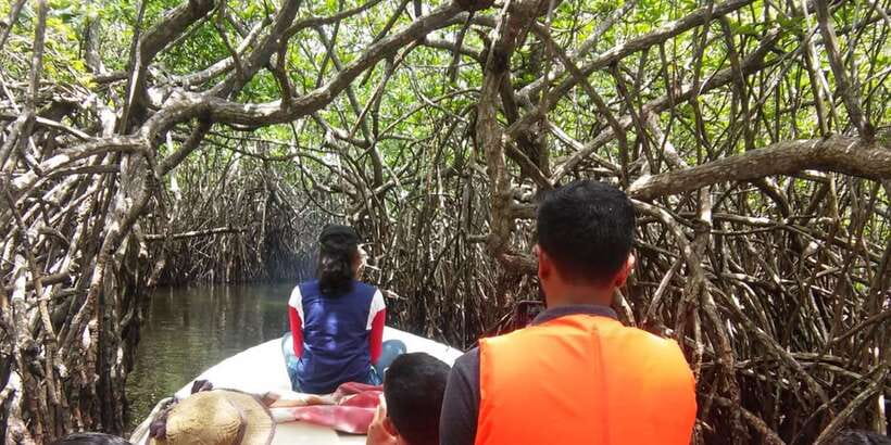 West coast Beach, River Mangroves lagoon, Wildlife boat Tour - Sea turtles, ancient Buddhist temples, and the mask museum on sacred ground