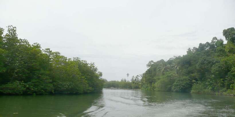 West coast Beach, River Mangroves lagoon, Wildlife boat Tour - Bentota Beach and the spice/herbal garden: ending with real coast time