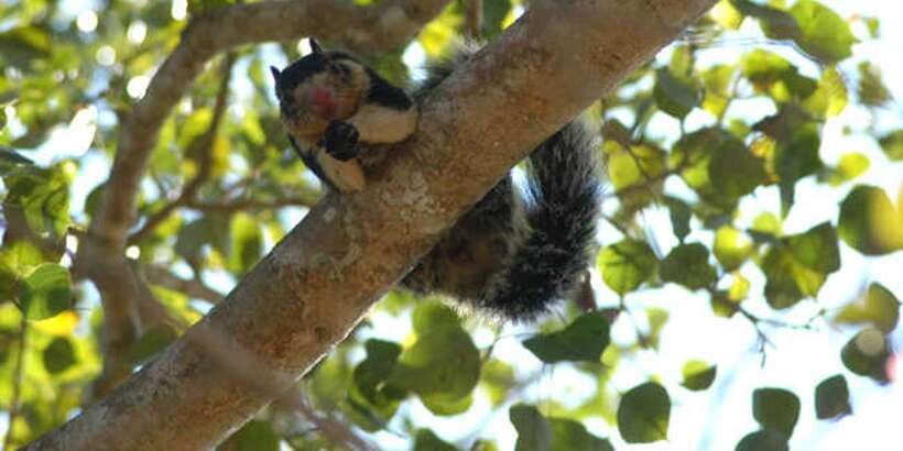 West coast Beach, River Mangroves lagoon, Wildlife boat Tour - Who this tour suits best (and who should skip it)