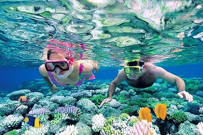 Whales Watching Mirissa Day Tour - Getting from Colombo or Negombo to the south coast without stress