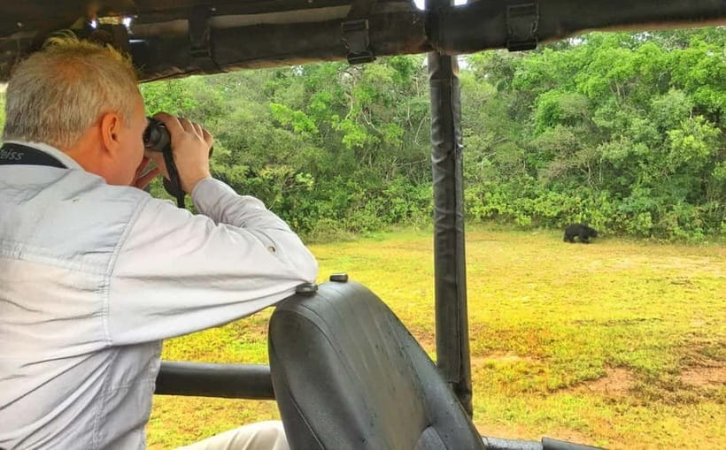 Wilpattu: Private Safari Day Trip with Lunch & Entry Fees - Price and Value: Why $110 Can Make Sense