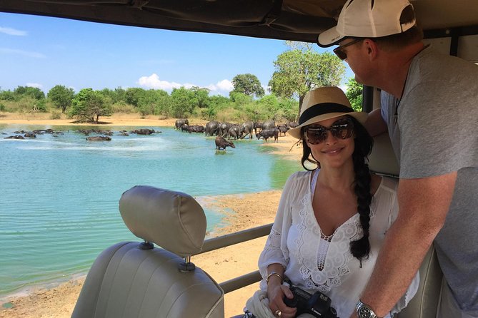 Yala Full Day Safari with Picnic Lunch - Private & All Inclusive - Why the 4am–5:30am departure matters in Yala
