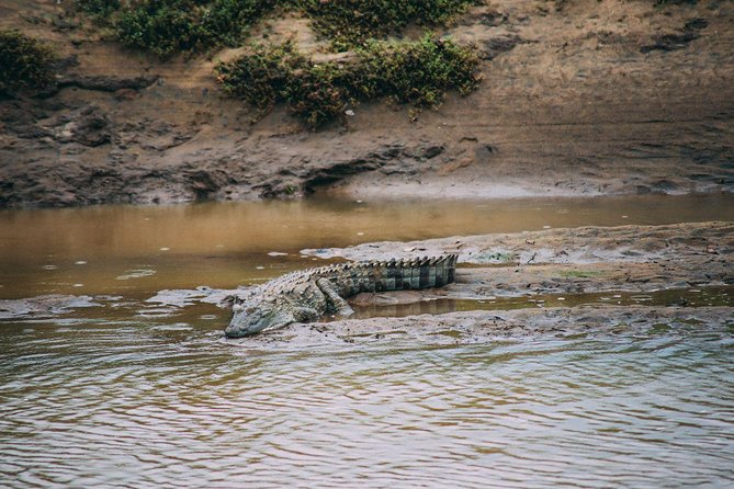 Yala Full Day Safari with Picnic Lunch - Private & All Inclusive - Lunch + bottled water: small inclusions that keep you from hitting a wall