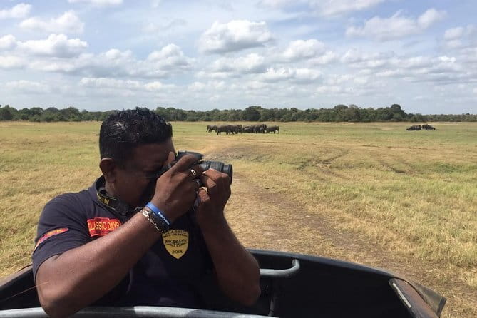Yala National Park Private Jeep Safari From Colombo & Negombo - Food, snacks, and the break that makes safari time better