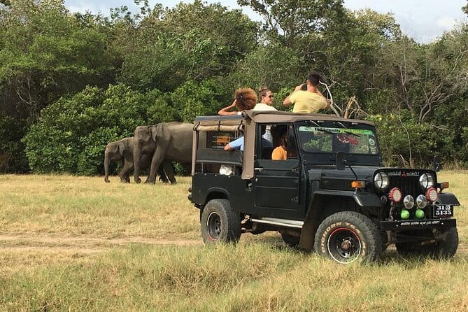 Yala National Park Private Jeep Safari From Colombo & Negombo - Price and value: is $250 per person fair?