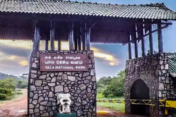 Yala National Park Private Jeep Safari From Colombo & Negombo - Safety and operator quality: what to check before you go