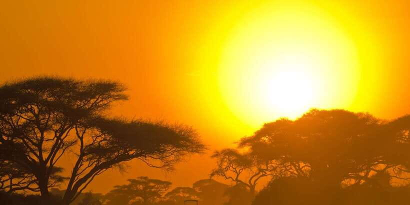 Yala Safari All-Inclusive Package with Convenient Pick Up - Yala Safari in Kotapola: what this one-day trip really delivers