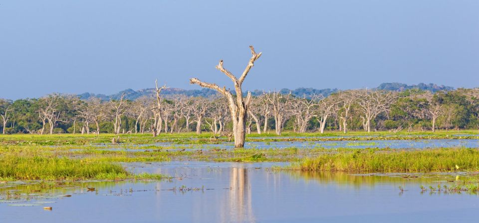 Yala Safari All-Inclusive Package with Convenient Pick Up - Money talk: is $144 good value (and what’s actually extra)?