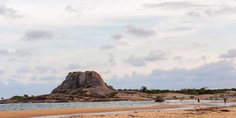 Yala Safari All-Inclusive Package with Convenient Pick Up - Best fit: who should book this Yala package and who may not love it